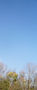 background.jpg