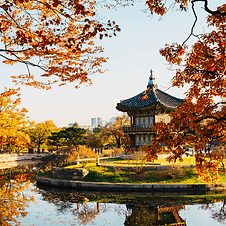 South Korea Travel.