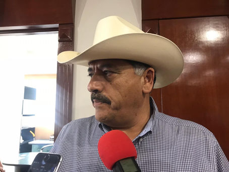 Sobrecupo y venta ilegal de licor, me llevaron a detener la final: Carlos Tena