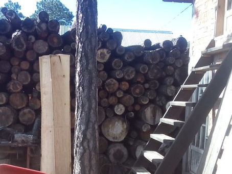 Fallece velador de aserradero en San Juanito