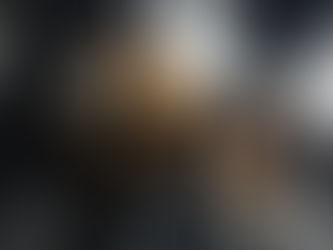 Encuentran huesos humanos en Maguarichi