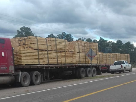 Activan operativo Carrusel para la protección de la madera