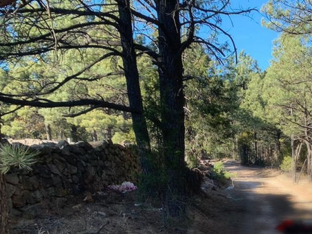 Abandonan cuerpo sin manos en panteón de Bocoyna