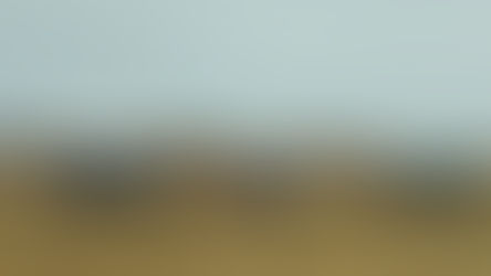 Identifican a los dos ejecutados en la carretera Anáhuac a Riva Palacio