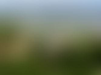 Hay condiciones para trabajar en Tomochi: Fiscal de Zona