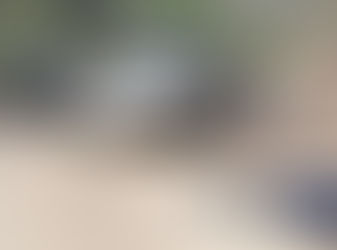 A partir de esta semana inicia Base de Operaciones Mixtas en Madera: Fiscal