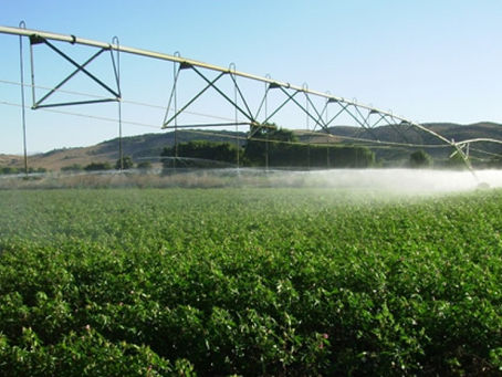 Piden a Diputados Federales recurso para tecnificación de riegos