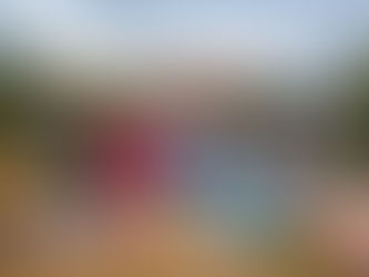 Entregan apoyos en Álamo Mocho, en Guerrero