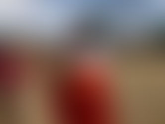 Así es la celebración rarámuri del paso a la muerte, escrito por Romayne Wheeler