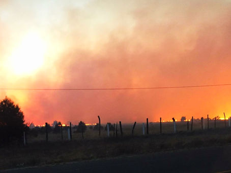 Pide diputado recursos de FONDEN para municipios, por incendios