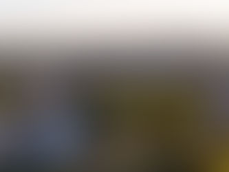 Así quedarán los seccionales por lo pronto