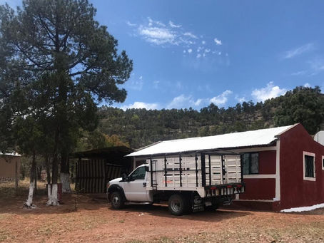 Fallece pareja de ancianitos en Tomochi