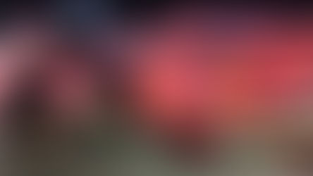 Identifican a las 4 personas que murieron en accidente