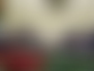 Partidos podrán recibir hasta 119.5 mdp de aportaciones