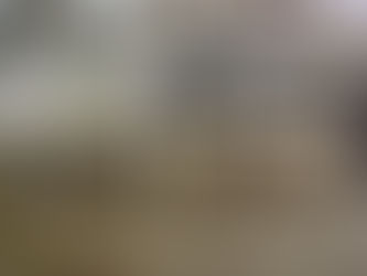 Subasta de ganado incautado a César D.J. en el Rancho Santa Rita permite recuperar 1.78 mdp