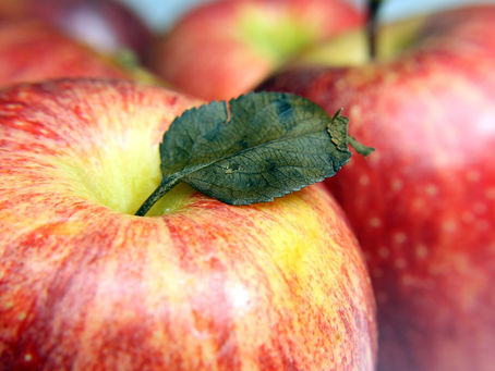 Elimina México aranceles a queso y manzana que se importen