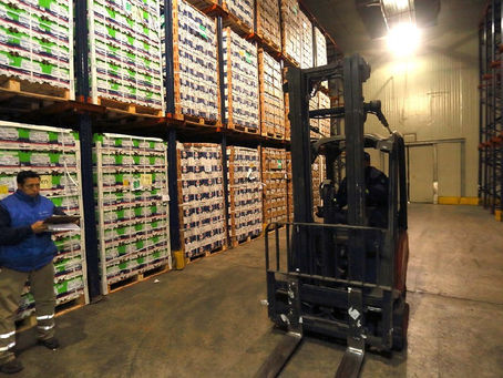 Pide Diputado tarifa preferencial para manzaneros al SADER