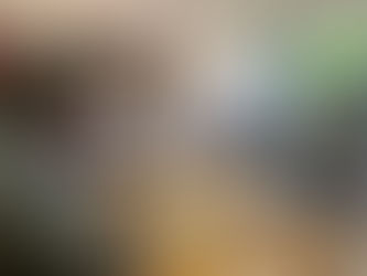 Acuden Tena y Borruel a pedir subsidios para viviendaen Cuauhtémoc