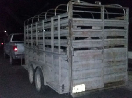 Piden exentar a trailas y remolques del pago de revalidación vehicular