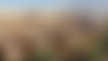 Inhuma FGE Occidente 41 cuerpos no identificados