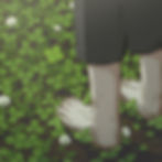 雑草