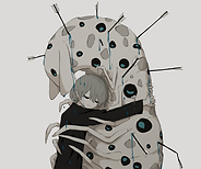 2019 | アボガド6