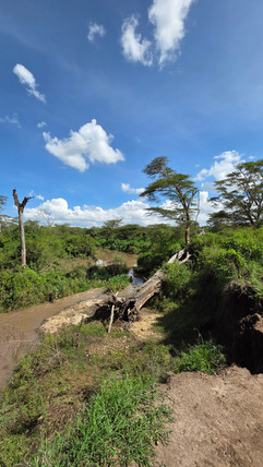 Nairobi National Park