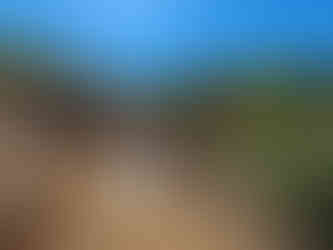 Trail Vikles in Lythrodontas