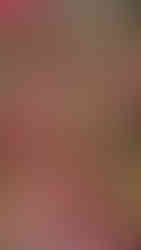 Moutoullas flora bloomed