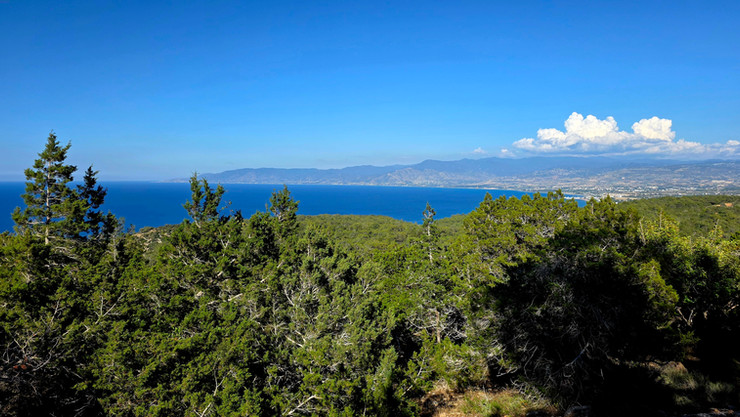 Adonis Trail