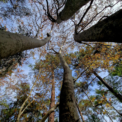 Mesa Potamos Waterfall