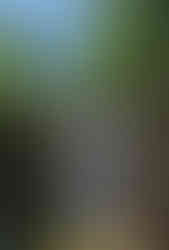 Caledonia Waterfalls