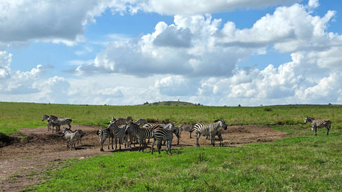 Nairobi National Park