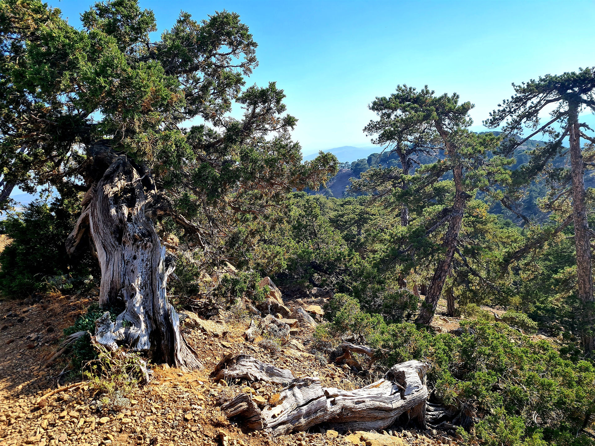 Trail Atalanti in Troodos