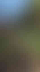 Gourri Trail Palaia Vrysi