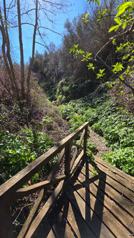 Gourri Trail Palaia Vrysi