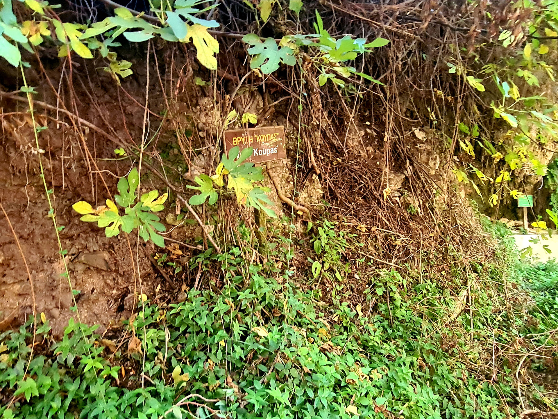 Trail Six Springs (6 Vryses) in Arsos
