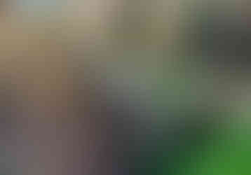 Watermill nature trail