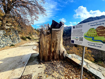 Trail Fountoukodasos in Polystypos 