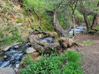 Vateris Nature Trail in Kakopetria