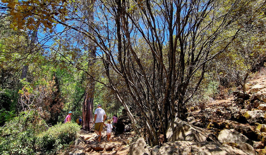 Hiking Caledonia Waterfall Trail