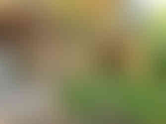 Trail Six Springs (6 Vryses) in Arsos