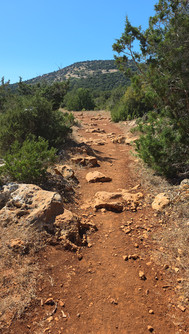 Aphrodite trail