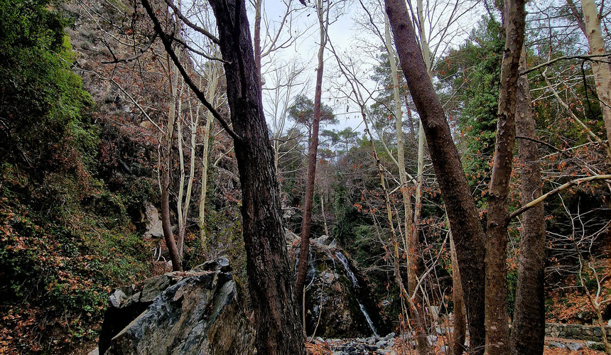 Trail Foini - Iera Moni Trooditissas