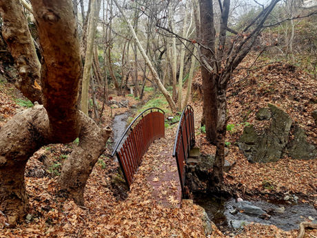 Trail in Agios Pavlos