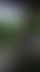 Nairobi National Park