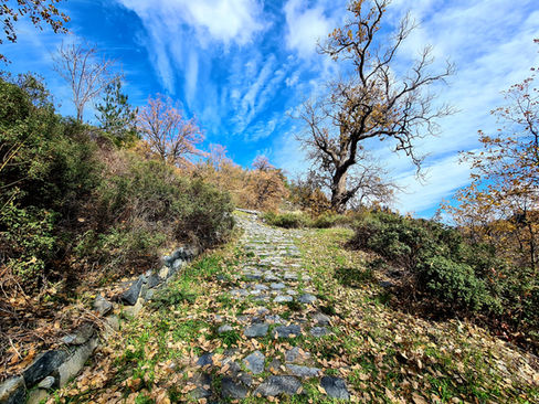 Trail Fountoukodasos in Polystypos 