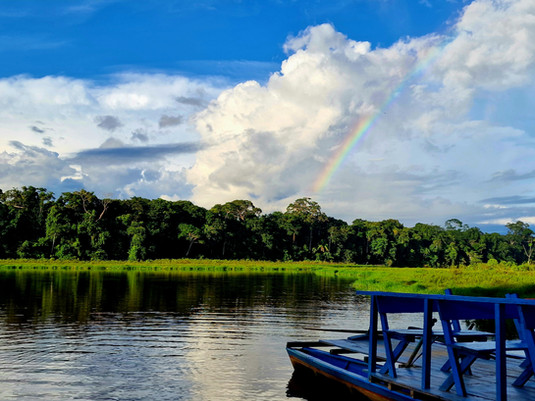 Peruvian Amazon Rainforest