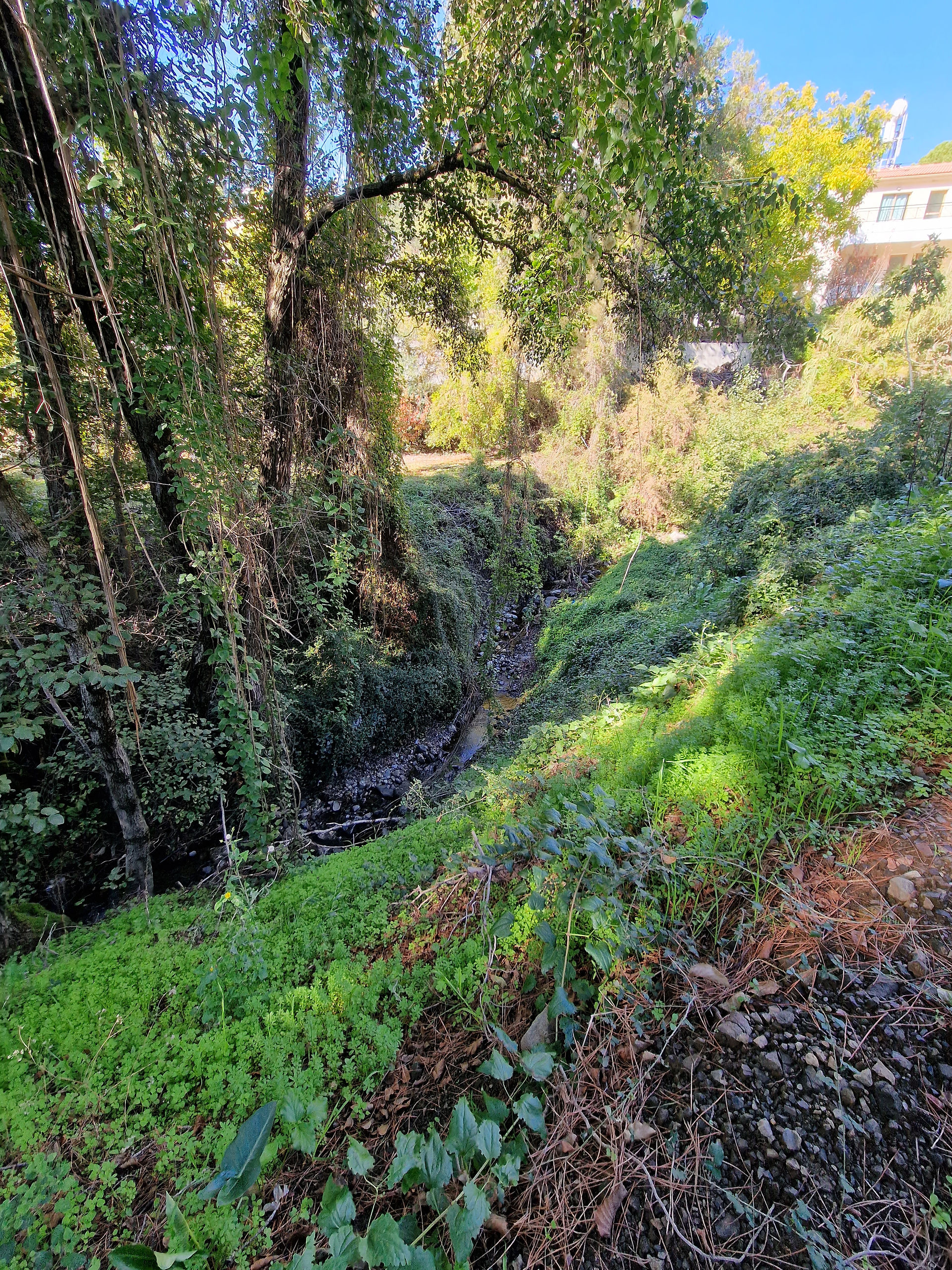 Trail Hapotami in Mandria
