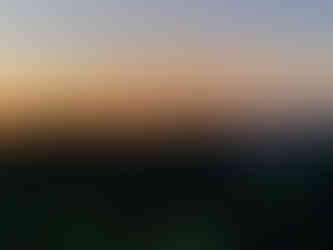 Peruvian Amazon Rainforest